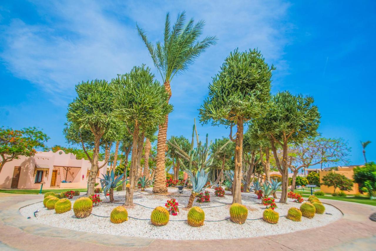 Nubian Village, Families And Couples Only Sharm el-Sheikh Ngoại thất bức ảnh